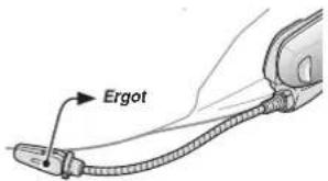 Ergot