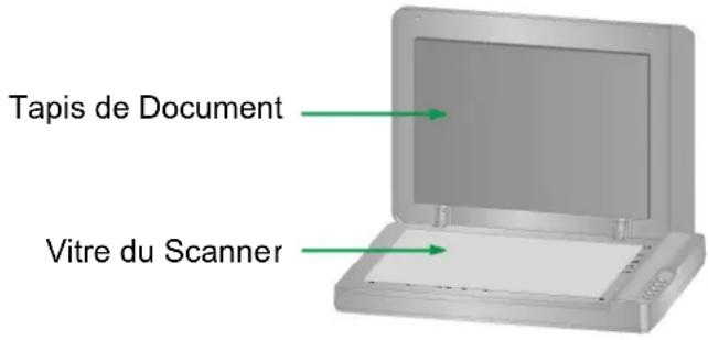 PLUSTEK OpticSlim 1180 - Nettoyer le Scan à Plat - 1
