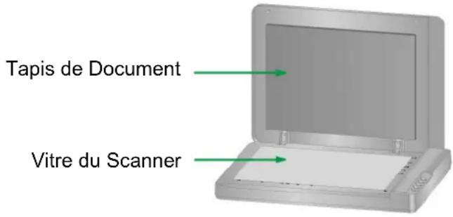 PLUSTEK OpticSlim 1180 - Nettoyer le Scan à Plat - 1