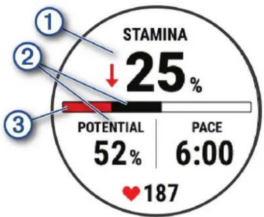 GARMIN Quatix 7 Sapphire - Affichage de votre Stamina en temps réel - 1