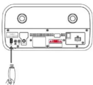 Diagram of a device rear panel with labeled ports and connectors, showing internal components like USB drive and audio jack.