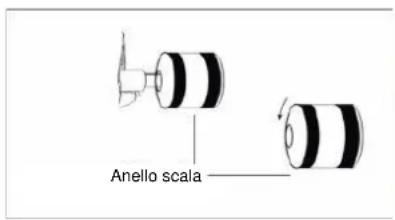 Anello scala