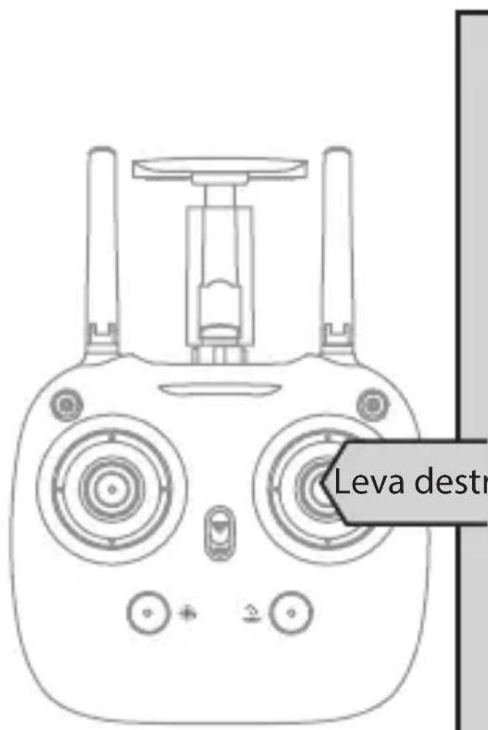 Leva destr