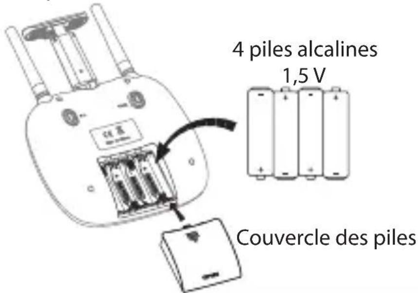4 piles alcalines 1,5 V Couvercle des piles