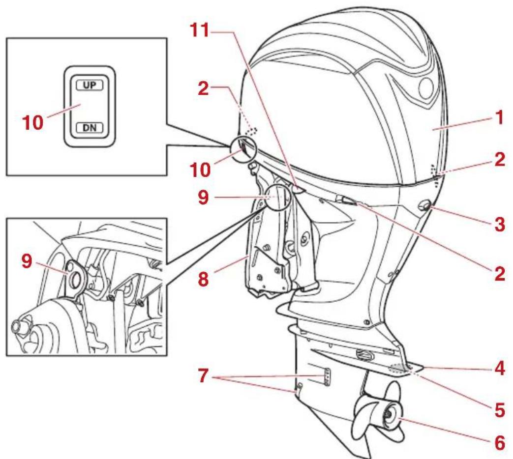 YAMAHA LF225 (2022) - REMARQUE: - 1