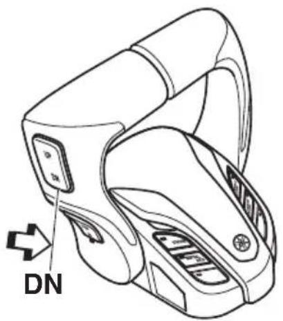 YAMAHA LF225 (2022) - Procédure d'abaissement - 2