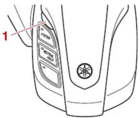 YAMAHA LF225 (2022) - ATTENTION - 1