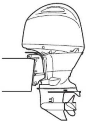 YAMAHA F200C (2022) - REMARQUE: - 3