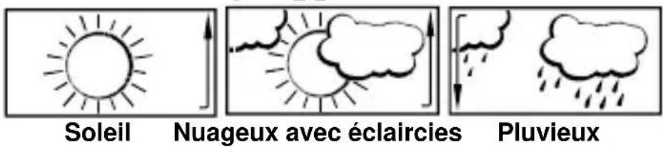 TFA 35.1109 - ICÔNES DE PREVISION MÉTÉO: - 1