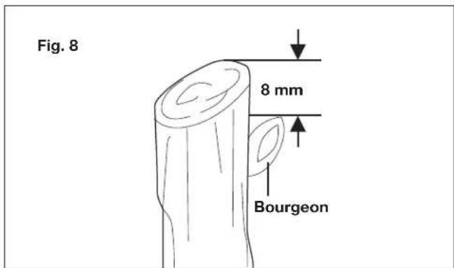 Sun Joe PJ3600C - Conseils pour la talle - 1