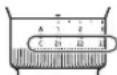 PANASONIC ERCTW1 - Aparar a barba - 1