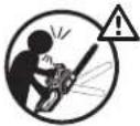Sun Joe 24V10CSCT - Safety Symbols - 11