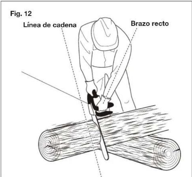 Sun Joe 24V10CSCT - Postura apropiada para el corte - 1
