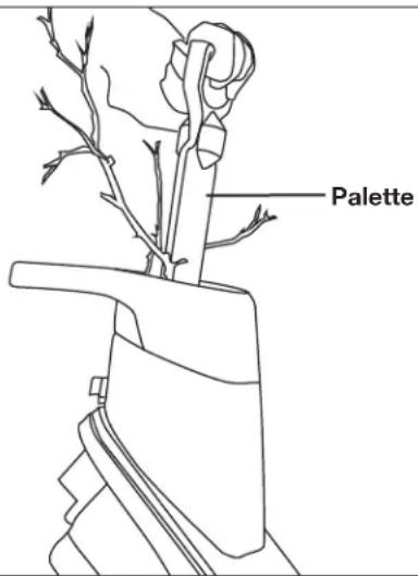 Palette