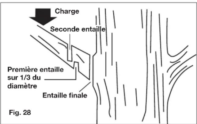 Sun Joe 24VPS8CT - Élagage - 1