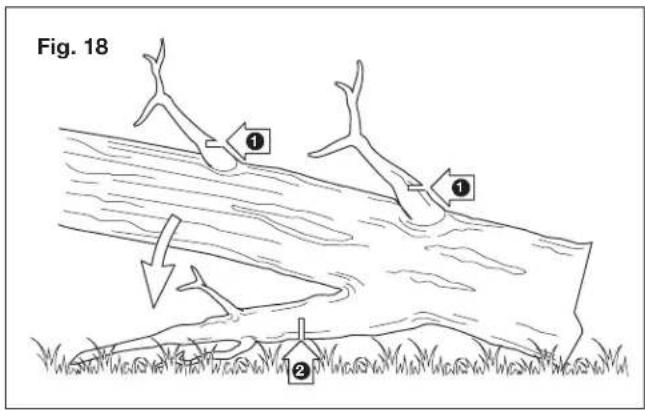 Sun Joe SWJ701E - - Limbing a tree - 1