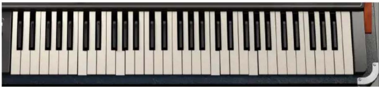 Arturia CS80 V4 - Vue d'ensemble - 2