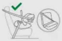 CYBEX Cloud Z2 iSize - 车辆中的正确位置 - 2
