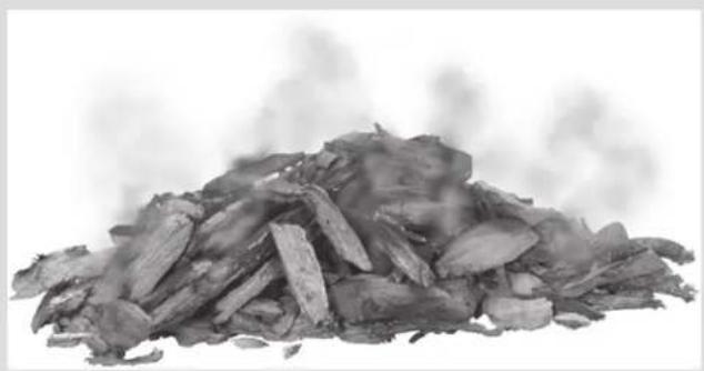 CHAR BROIL 463455021 - Wood Chips - 1