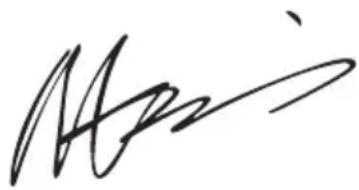 WORX WA3604 - MEGFELELOSEGI NYILATKOZAT - 1