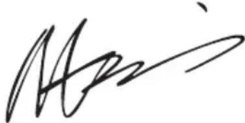 WORX WA3604 - IZJAVA O SKLADNOSTI - 1