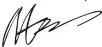 WORX WA3604 - KONFORMITÄTSERKLÄRUNG - 1