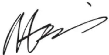 WORX WA3604 - KONFORMITSETKLAERING - 1