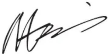 WORX WA3604 - DECLARACAO DE CONFORMIDADE - 1