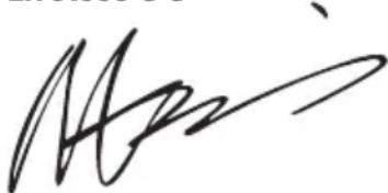 WORX WA3604 - DECLARACION DE CONFORMIDAD - 1