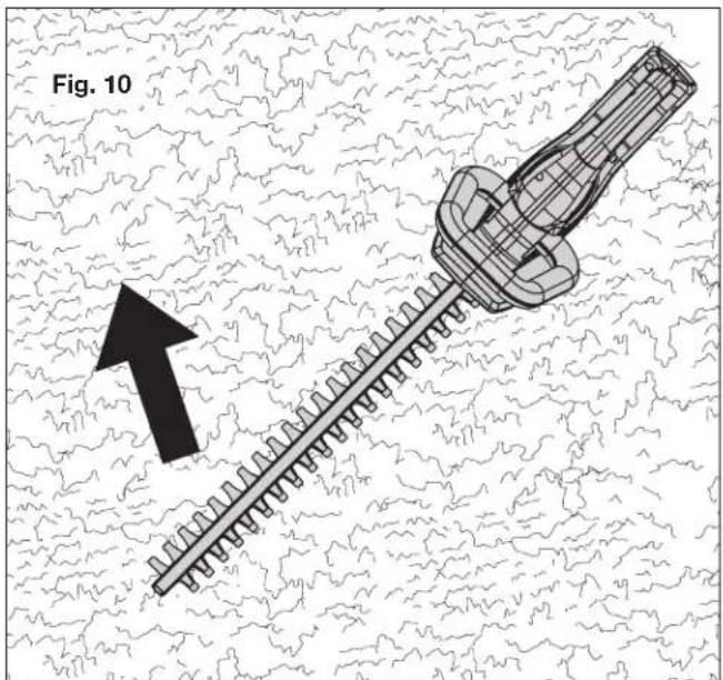 Fig. 10