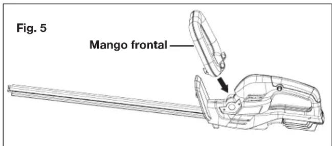 Fig. 5 Mango frontal