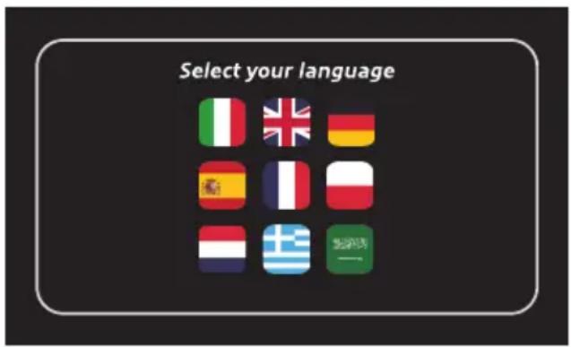 ARIETE 1312 - Premier allumage - 1