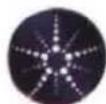 Satco Starfish S11286 - SHARE A HOME - 3