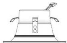 Satco Starfish S11286 - WARNING: Risk of Fire or Electric Shock - 1