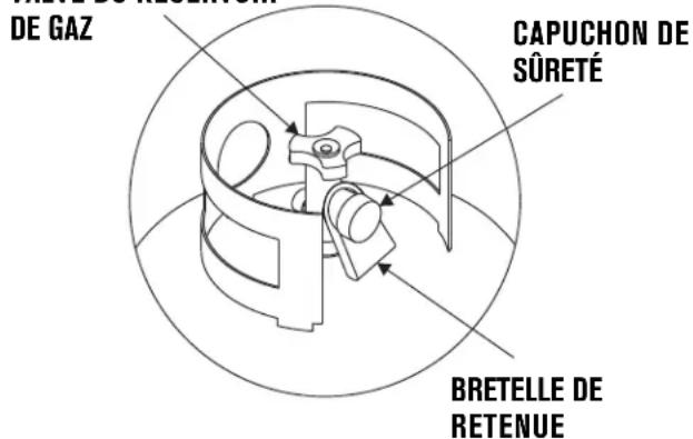 CHAR BROIL Performance 463228622 - Démontage, transport et entreprises du réservoir de gaz - 1