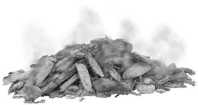 CHAR BROIL Performance 463376419 - Copeaux de bois - 1