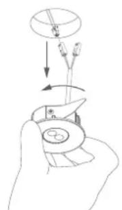 Diagram illustrating a biological or chemical process with labeled components and directional arrows, likely depicting a transformation or assembly.