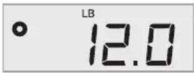 DYMO S400 - Using the Scale - 1