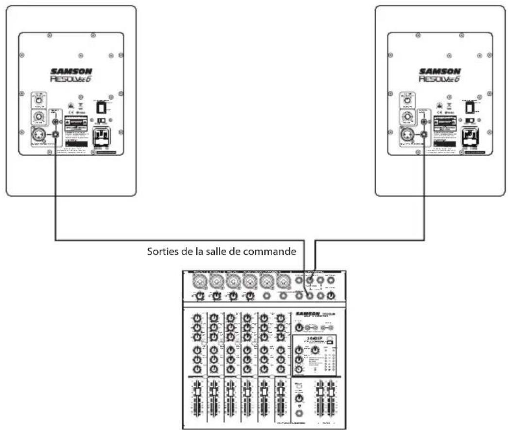 SAMSON Resolv SE8 - Pour raccorder les enceintes de monitoring Resolv - 1