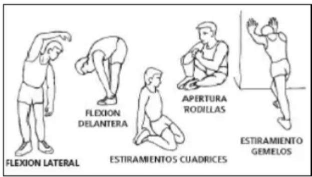 BH FITNESS Cross1200 G875 - La fase de calentamiento. - 1