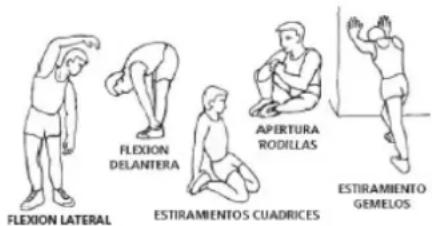 BH FITNESS FDC20 TFT G868TFT - La fase de calentamiento. - 1