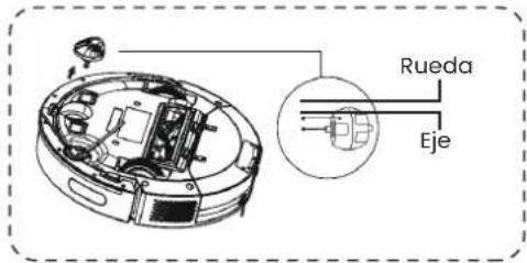 TCL Sweeva 6000 - Limpiar la rueda universal - 1