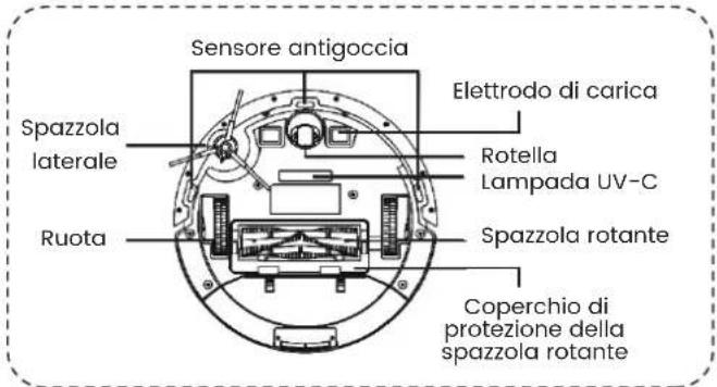 TCL Sweeva 6000 - Descrizione del Prodotto - 3