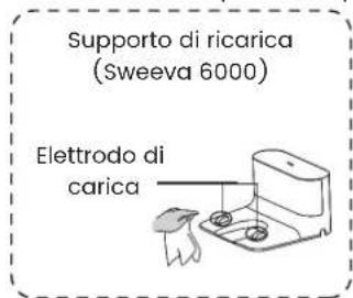TCL Sweeva 6000 - Pulire l'elettro di ricarica - 1