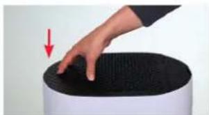 BONECO W220 - 清洁预过滤网 - 6