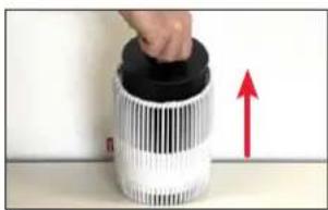 BONECO P130 - FILTRI PESA - 1