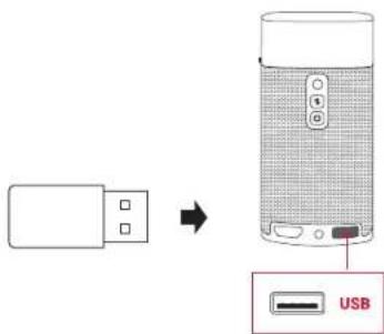 Anker Nebula Apollo - Riproduzione da un dispositivo di archivazione USB - 1