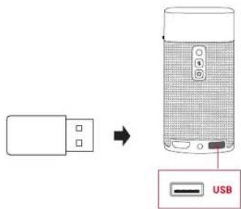 Anker Nebula Apollo - Play from a USB Storage Device - 1