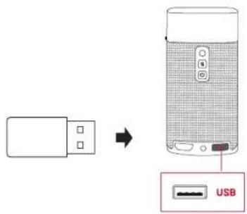 Anker Nebula Apollo - USB ストレーニジデバイスからの再生 - 1