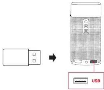Anker Nebula Apollo - Abspielen von einem USB-Speichermedium - 1